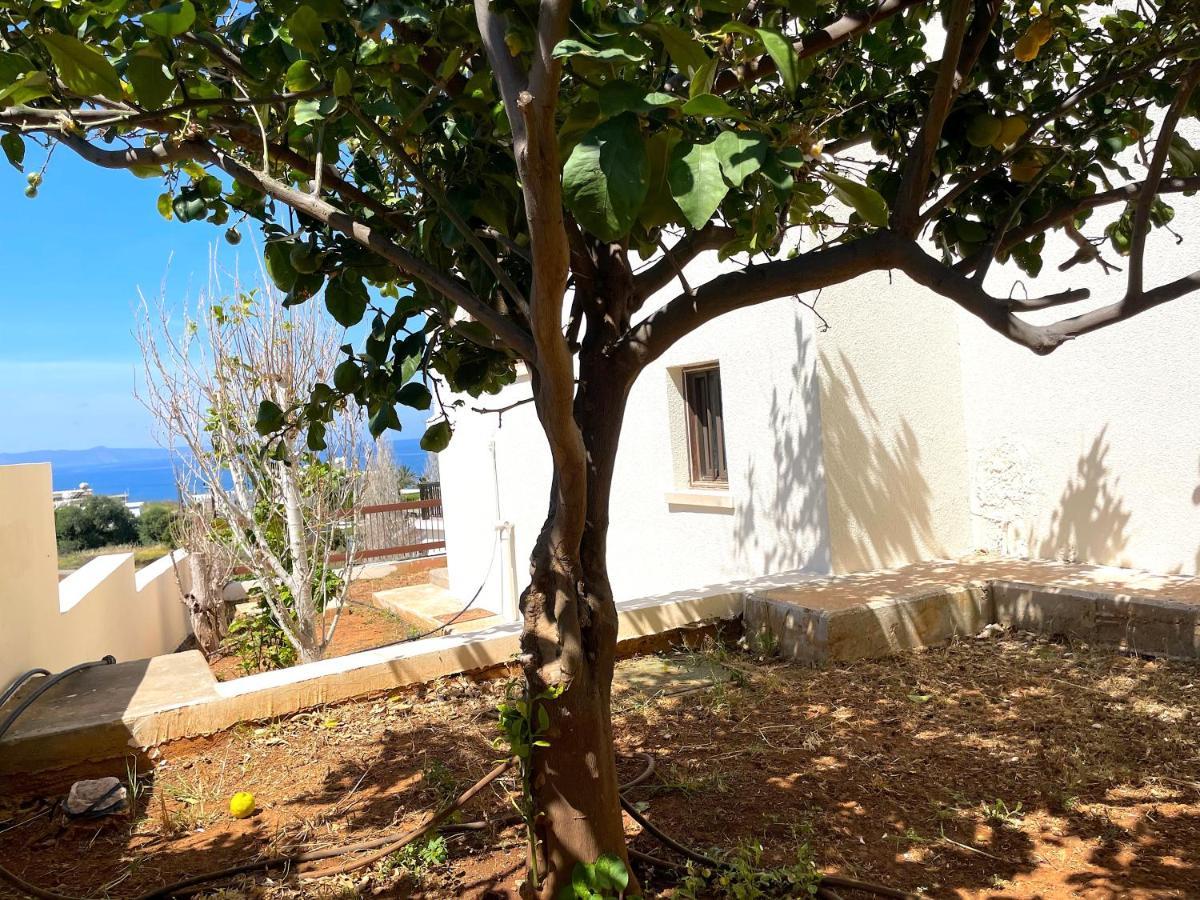 Willa Nysa7 Pafos